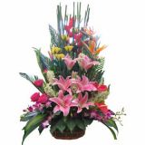 韶关鲜花速递